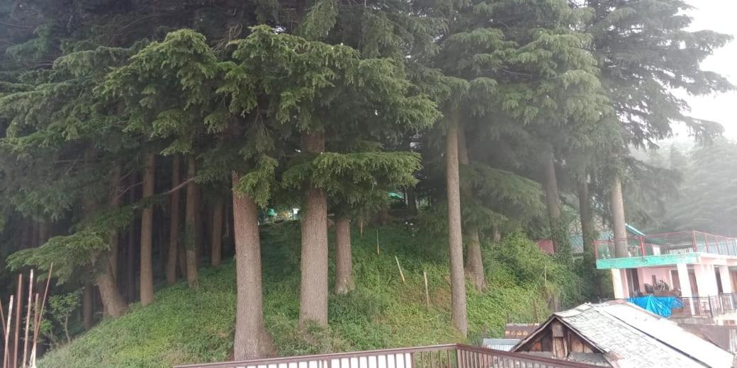 Hotel forest view Lāhri Eksteriør billede